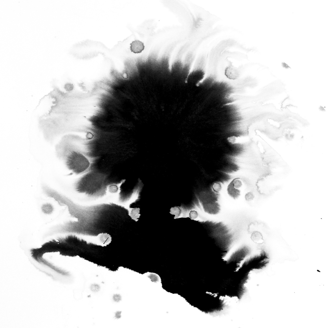 Asymmetrical ink blob with a rounded upper mass and a flowing extension reaching downward, on wet white paper